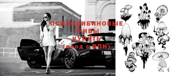 стафф Алексин